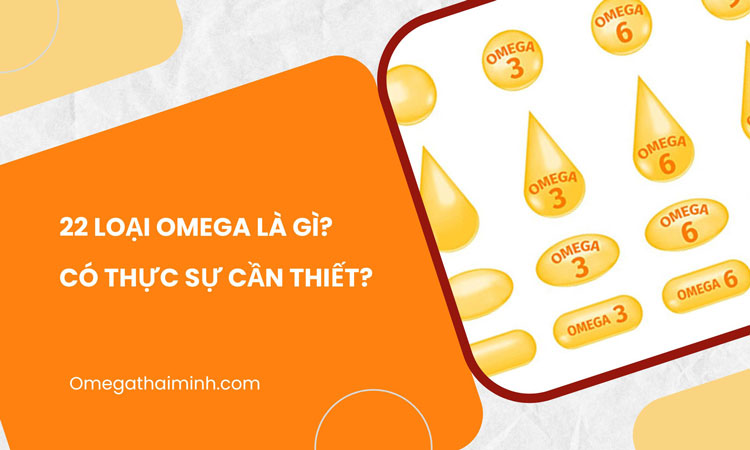 22 loại Omega là gì? Có thực sự cần thiết?
